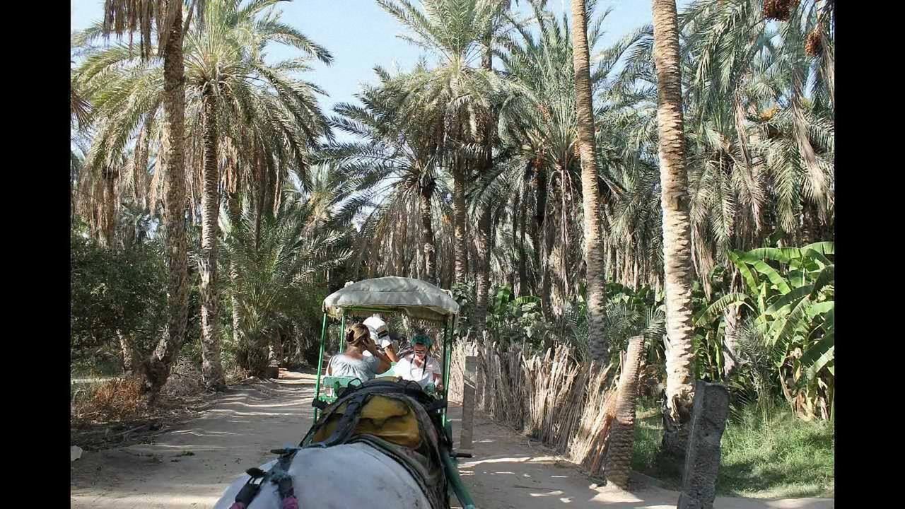 Dar Ezzahra Βίλα Τοζέρ Εξωτερικό φωτογραφία